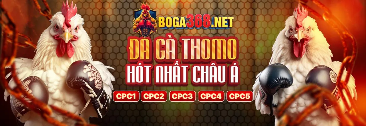 Hình ảnh đại diện cho chính sách chơi có trách nhiệm của cwin555 nổ hũ